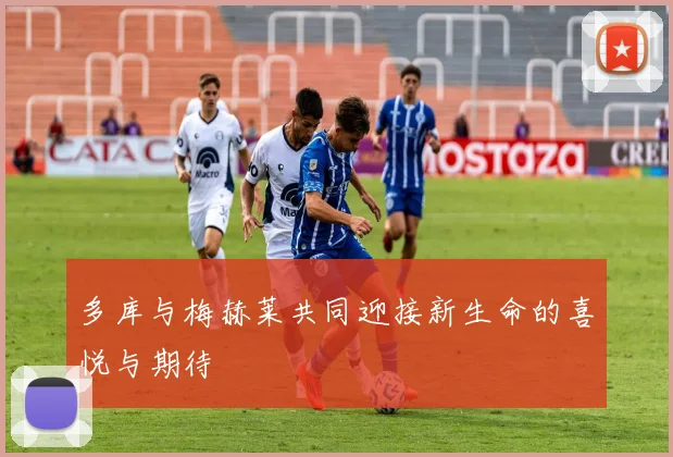 多库与梅赫莱共同迎接新生命的喜悦与期待